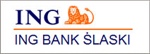 Logo ING Bank